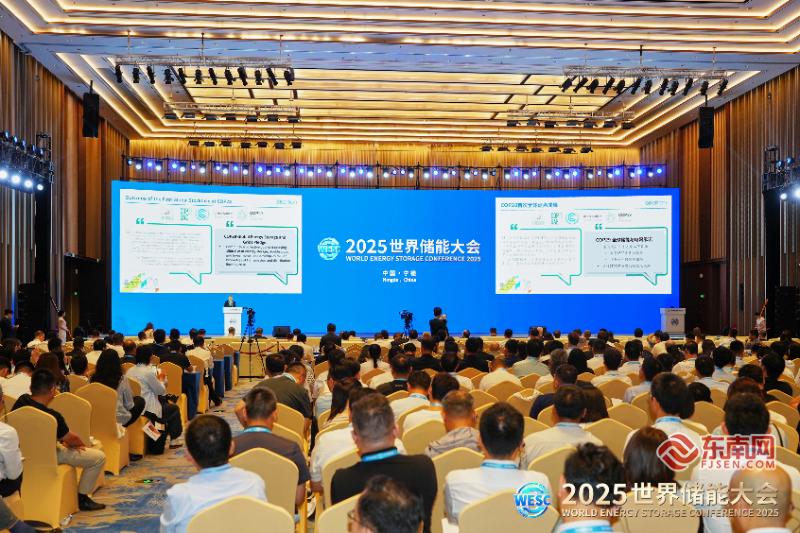 國際可再生能源署在寧德發(fā)布其全球首份儲(chǔ)能